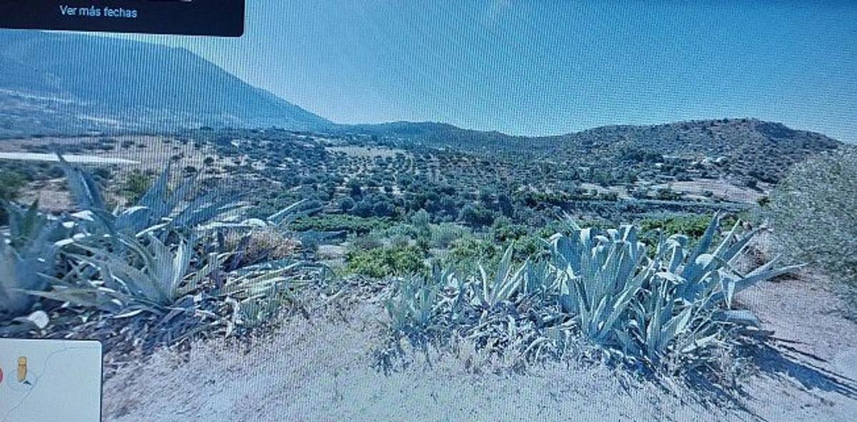 Terreno en venta en Alcaucín, Malaga photo 5