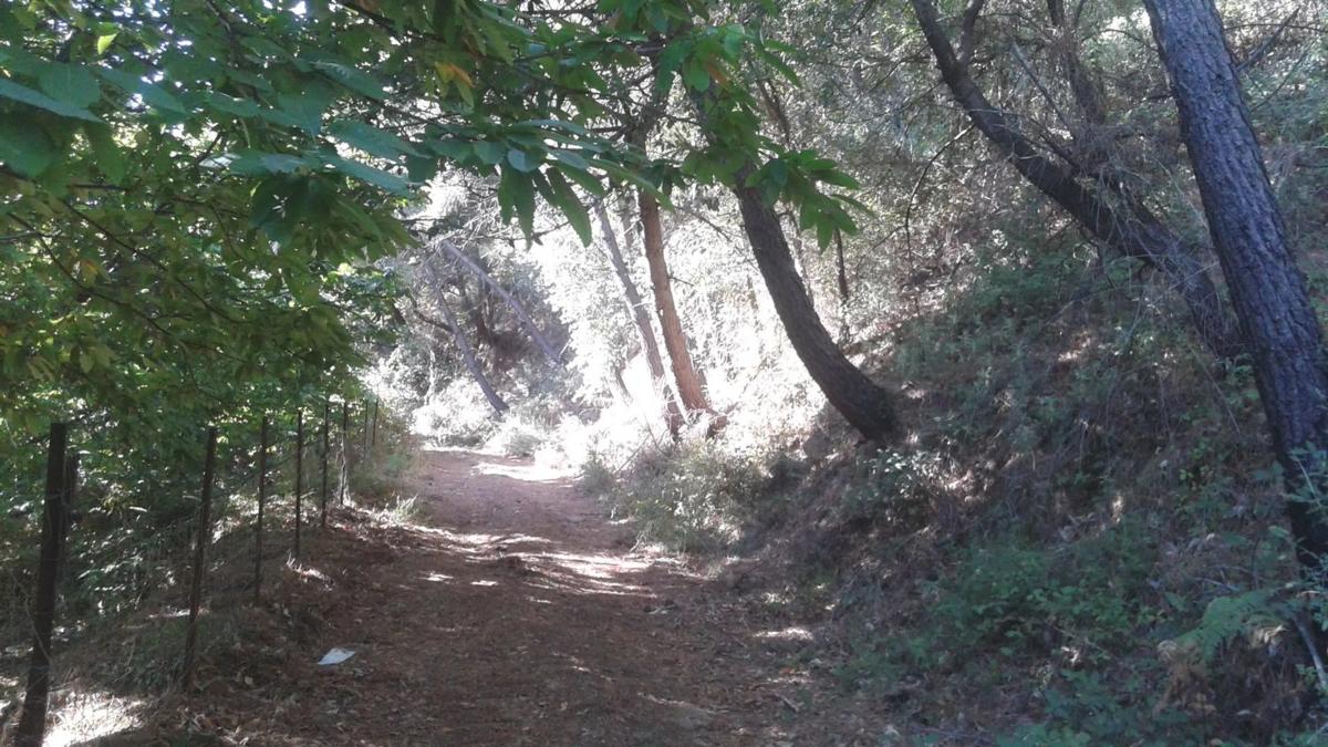 Land for sale in Juzcar, Malaga photo 5