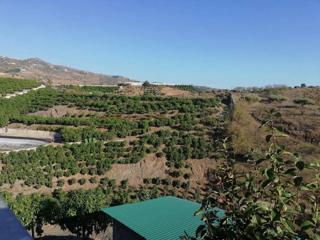 Terreno en venta en Vélez-Malaga, Malaga photo 2