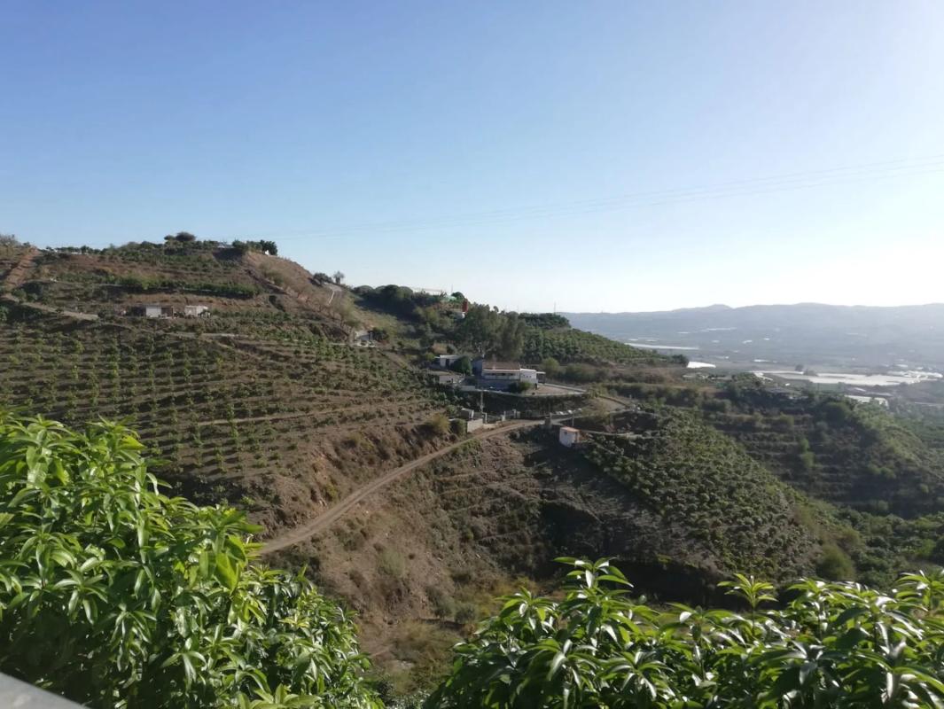Terreno en venta en Vélez-Malaga, Malaga photo 3