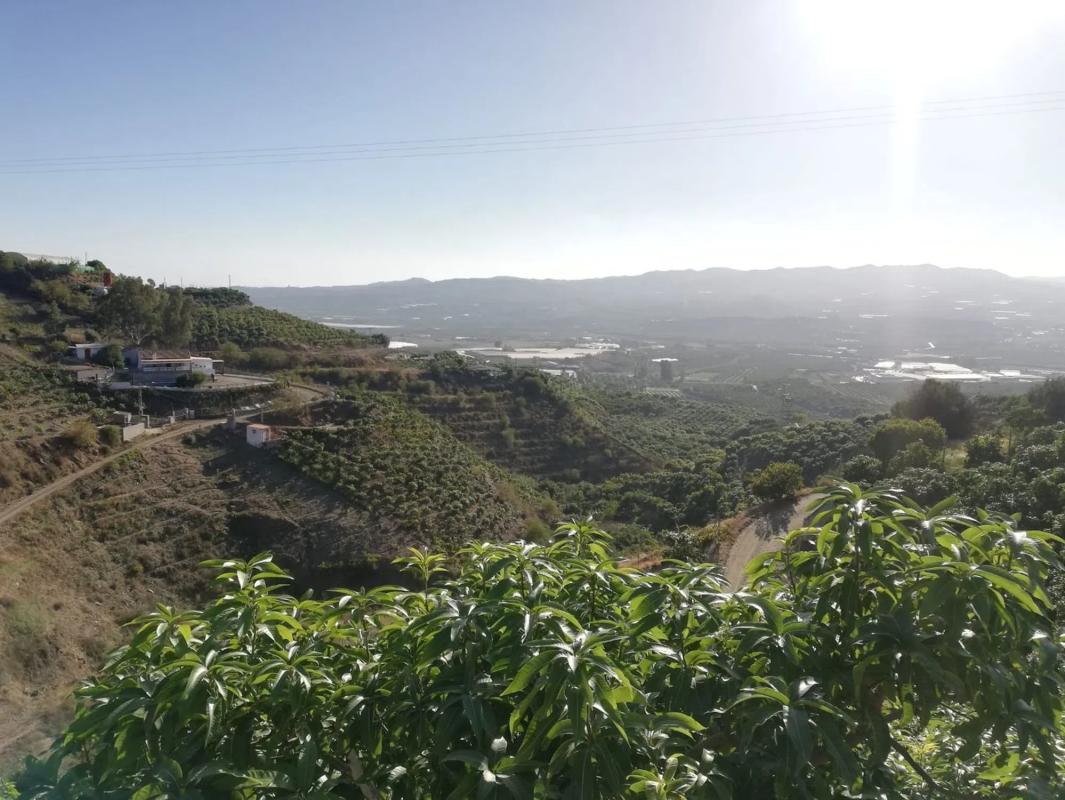 Terreno en venta en Vélez-Malaga, Malaga photo 4