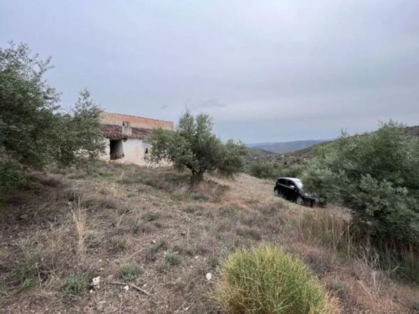 Terreno en carretera de Canillas de Aceituno a Alcaucín, 28 Dsdiseminados photo 1