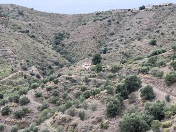 Terreno en carretera de Canillas de Aceituno a Alcaucín, 28 Dsdiseminados photo 2