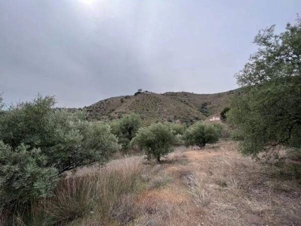 Terreno en carretera de Canillas de Aceituno a Alcaucín, 28 Dsdiseminados photo 3