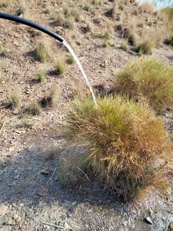 Terreno en venta en Alora, Malaga photo 3