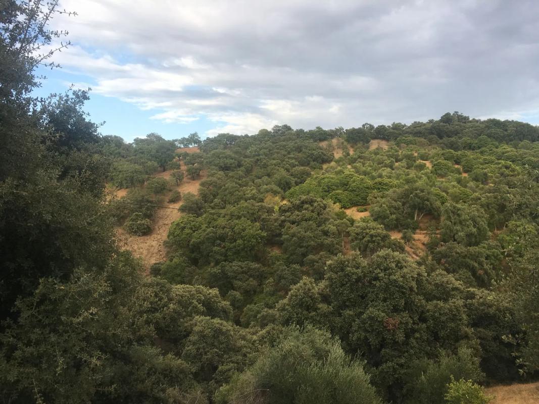 Terreno en venta en Farajan, Malaga photo 3