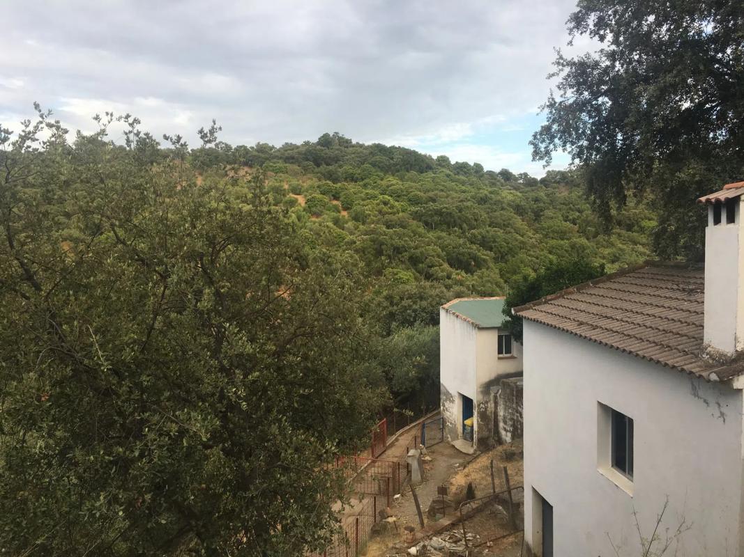 Terreno en venta en Farajan, Malaga photo 5