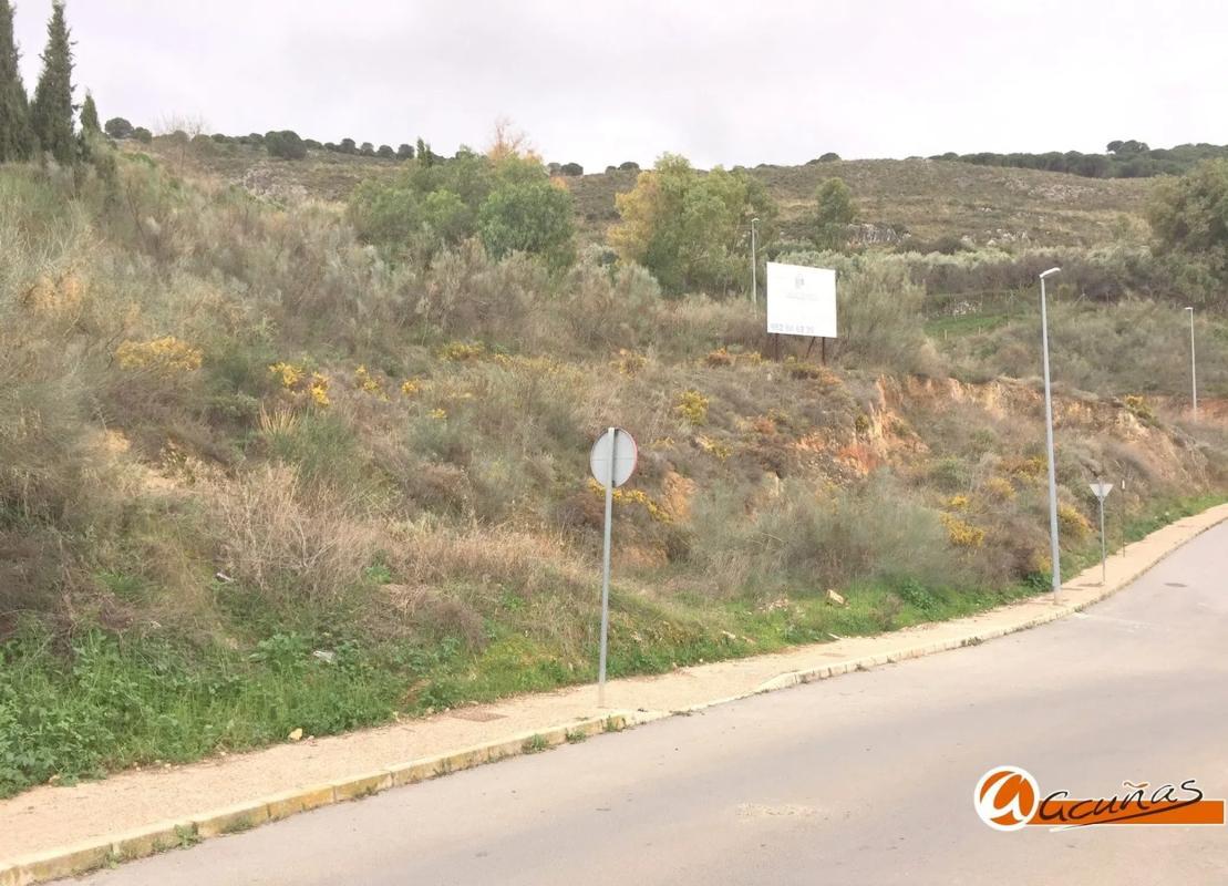 Land for sale in Antequera, Malaga photo 1