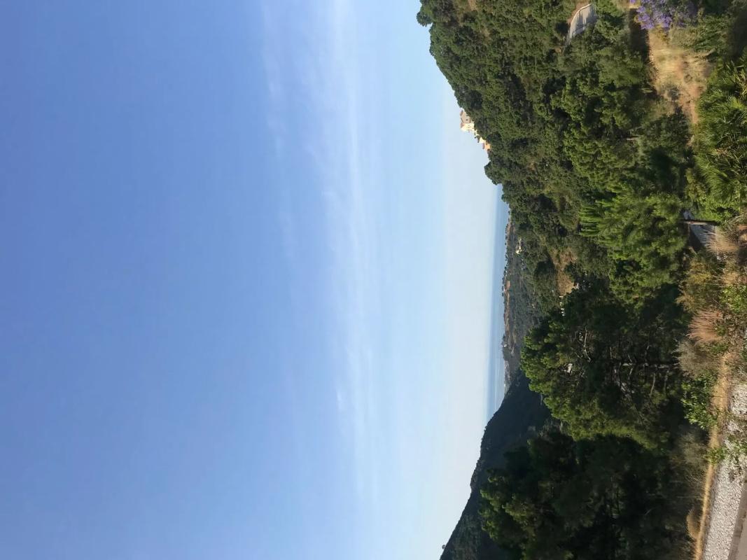 Terreno en venta en Benahavís, Malaga photo 2
