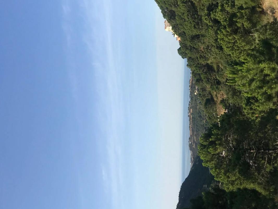 Terreno en venta en Benahavís, Malaga photo 3