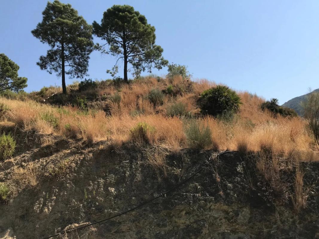 Terreno en venta en Benahavís, Malaga photo 5