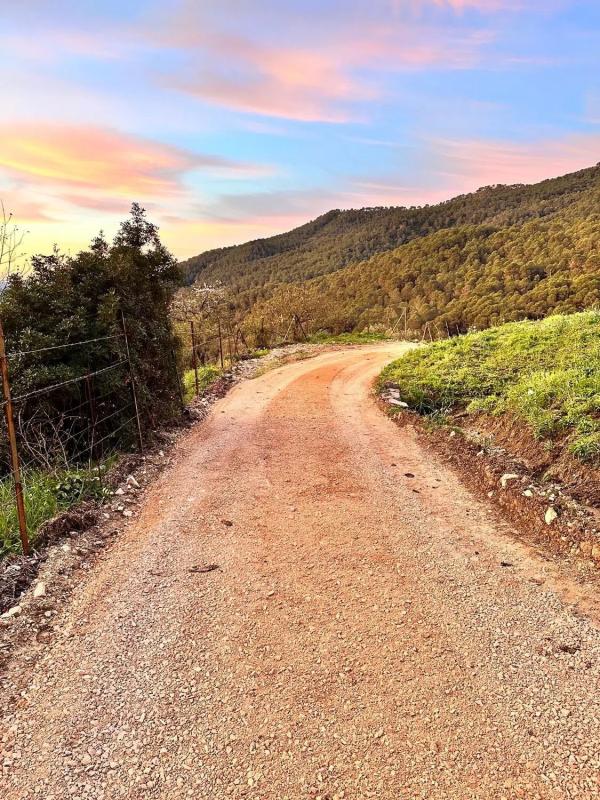 Terreno en venta en Gaucin, Malaga photo 4