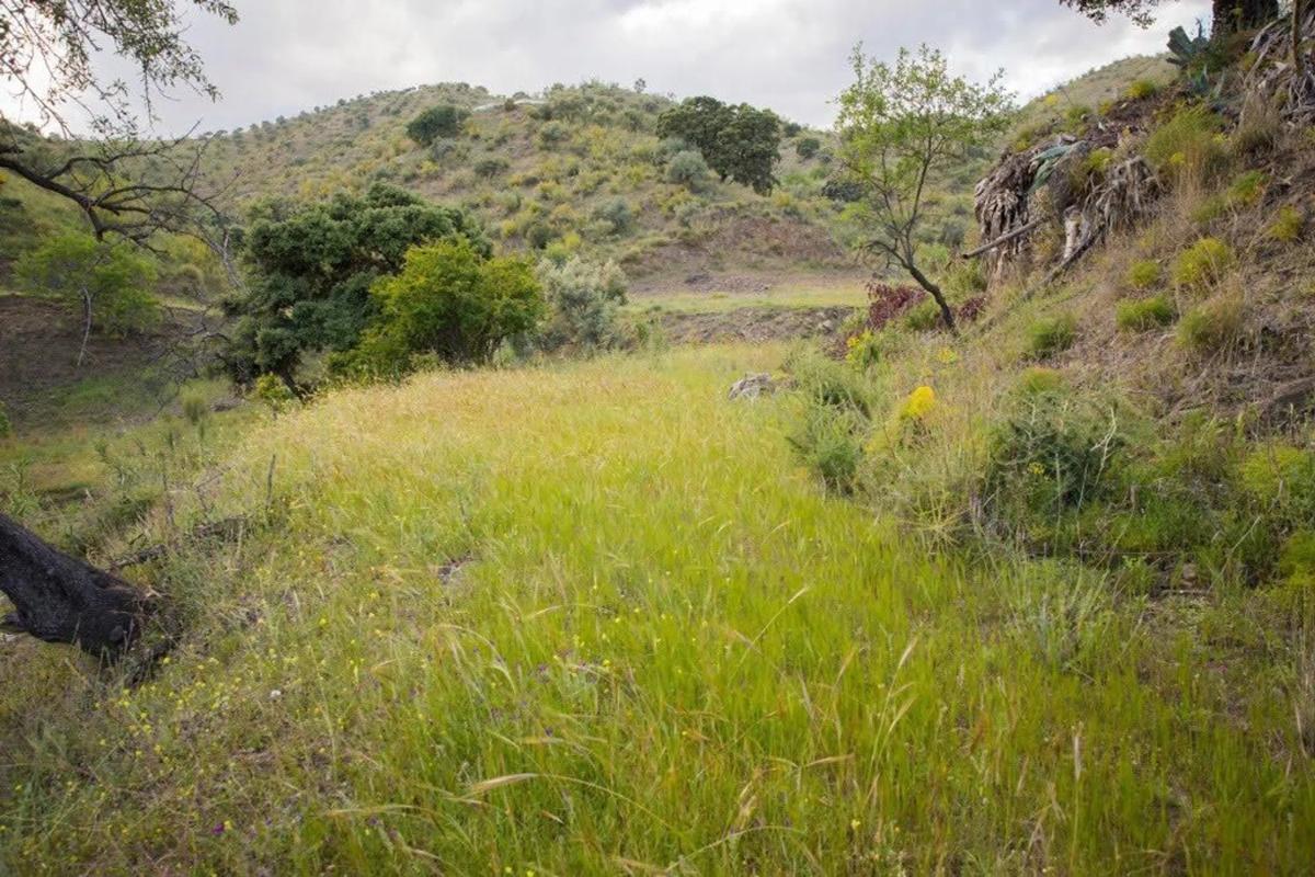 Land for sale in Rincón de la Victoria, Malaga photo 2