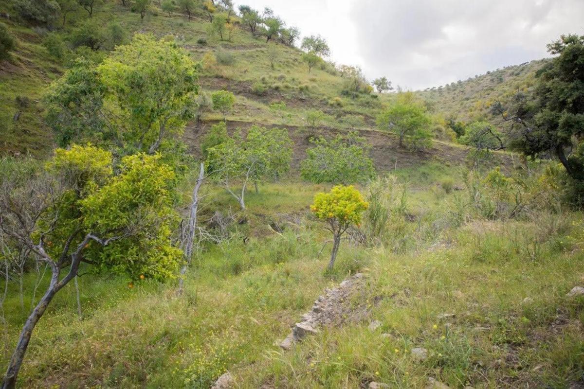 Land for sale in Rincón de la Victoria, Malaga photo 3