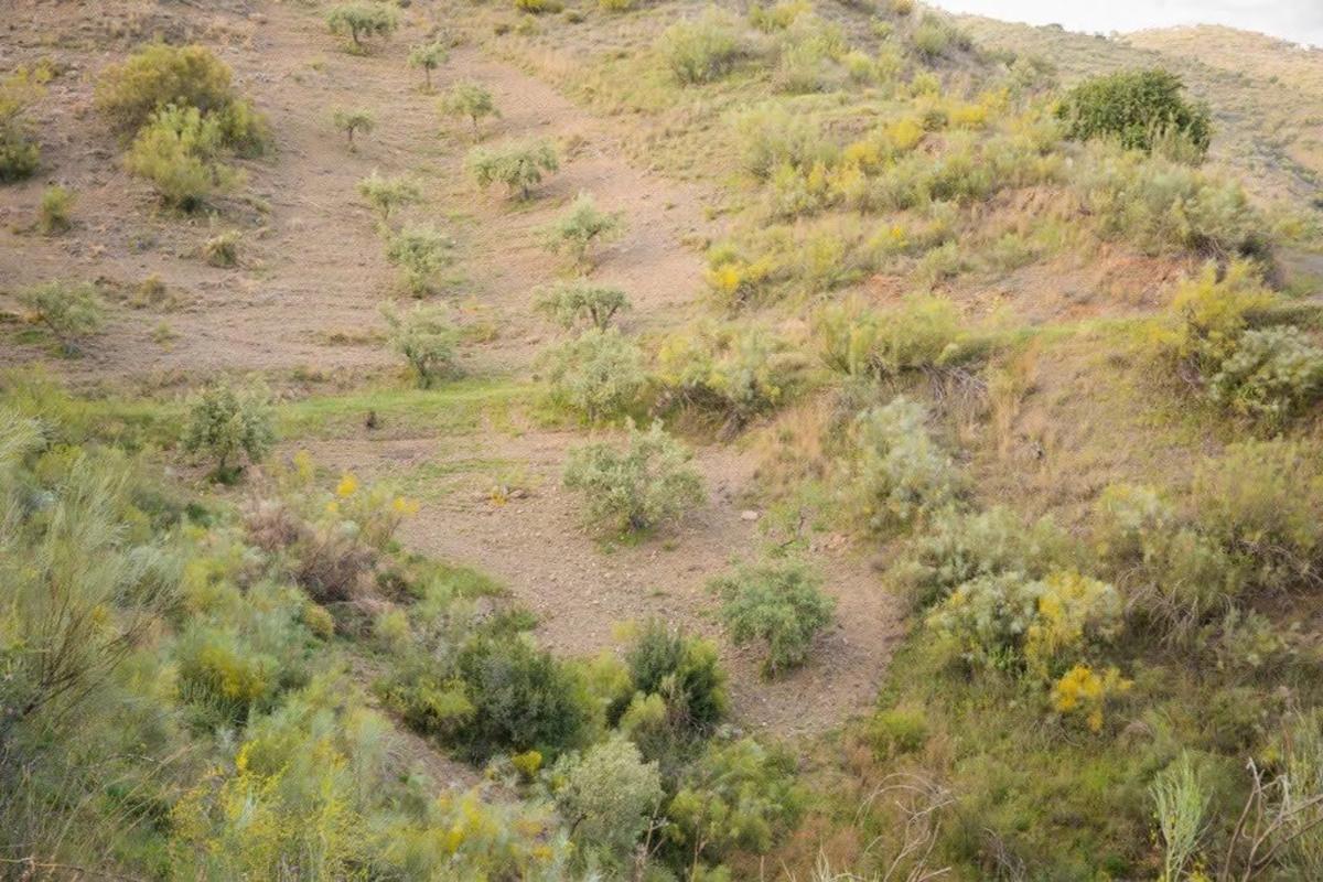 Land for sale in Rincón de la Victoria, Malaga photo 4