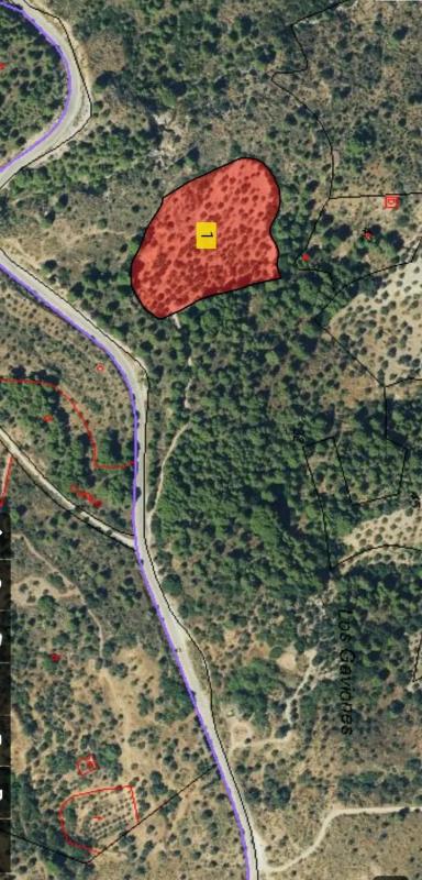 Terreno en venta en Ardales, Malaga photo 2