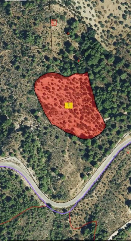 Terreno en venta en Ardales, Malaga photo 4