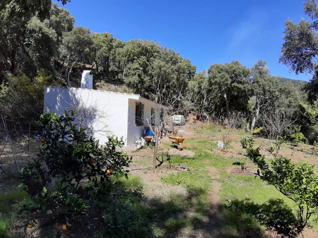 Działka na sprzedaż w Jubrique, Malaga photo 4