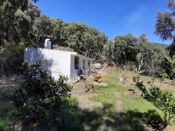 Terreno en carretera Ma-8301, km 1 photo 4