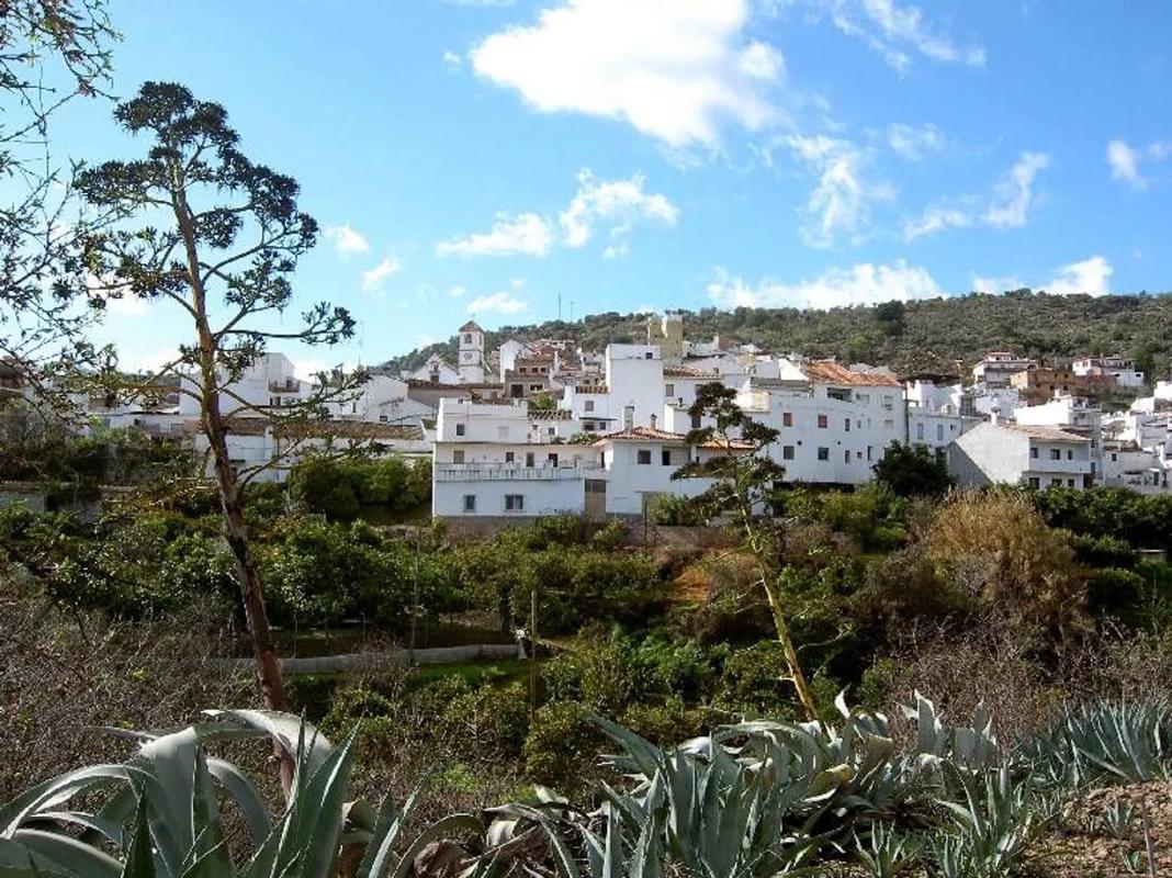 Land for sale in Guaro, Malaga photo 3