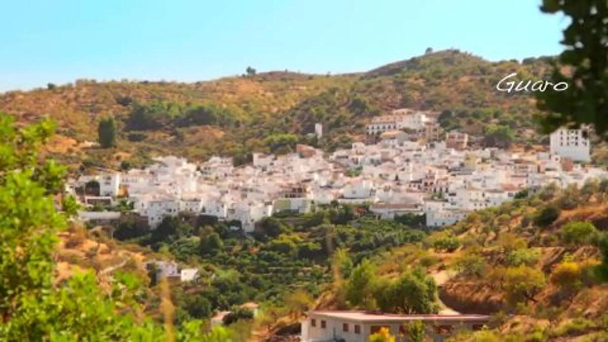 Land for sale in Guaro, Malaga photo 4