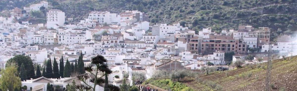 Land for sale in Guaro, Malaga photo 5
