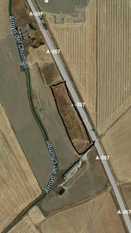 Land for sale in Campillos, Malaga photo 1