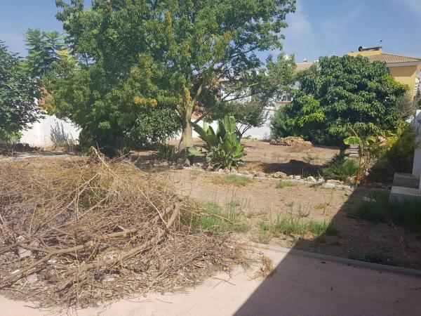 Terreno en calle Decano Salvador Barroso, 6 thumbnail 2