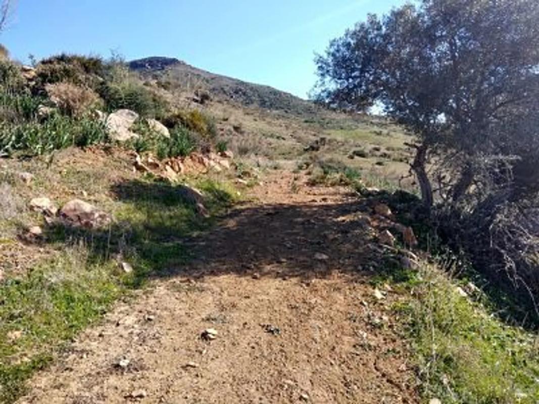 Terreno en venta en Alora, Malaga photo 2