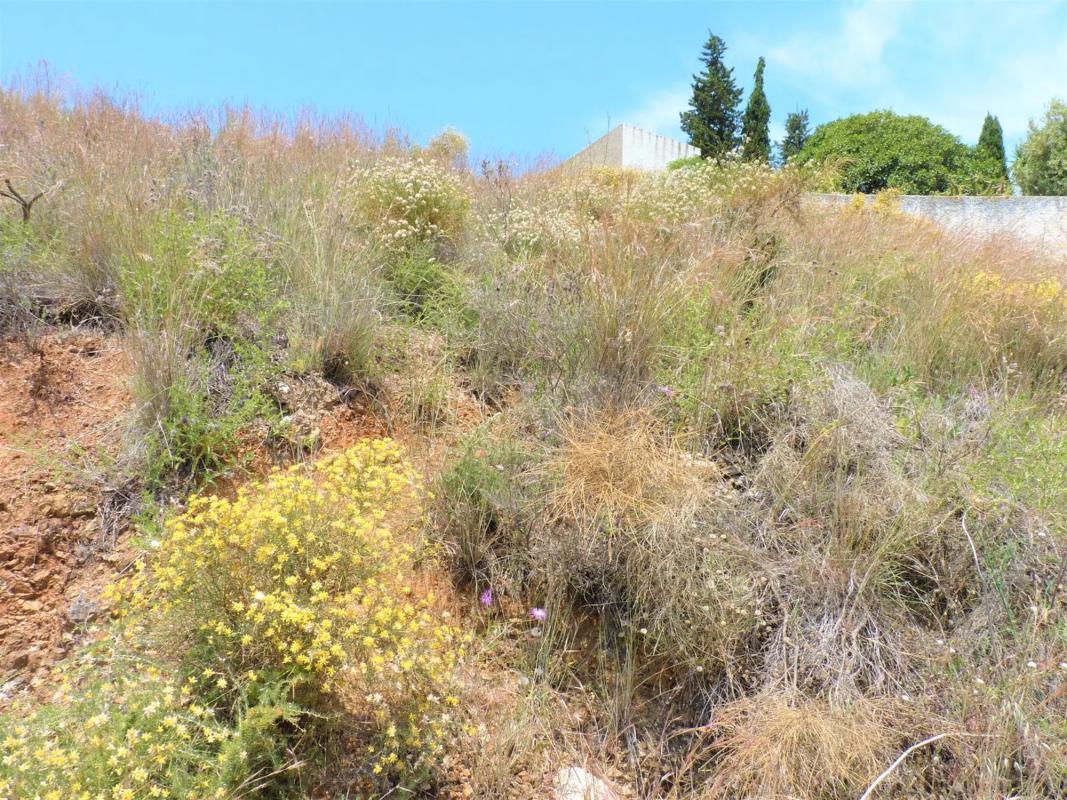 Terreno en venta en Rincón de la Victoria, Malaga photo 2