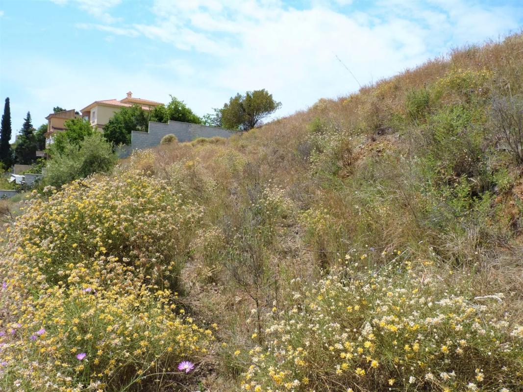 Terreno en venta en Rincón de la Victoria, Malaga photo 4