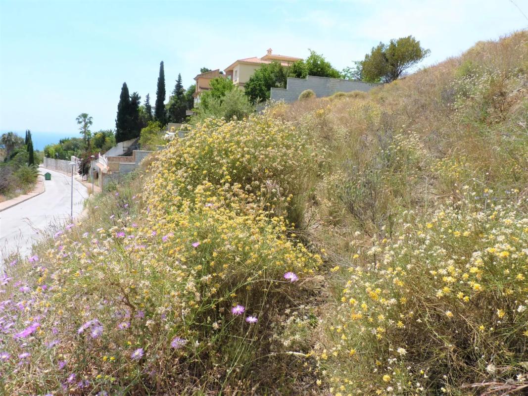 Terreno en venta en Rincón de la Victoria, Malaga photo 5