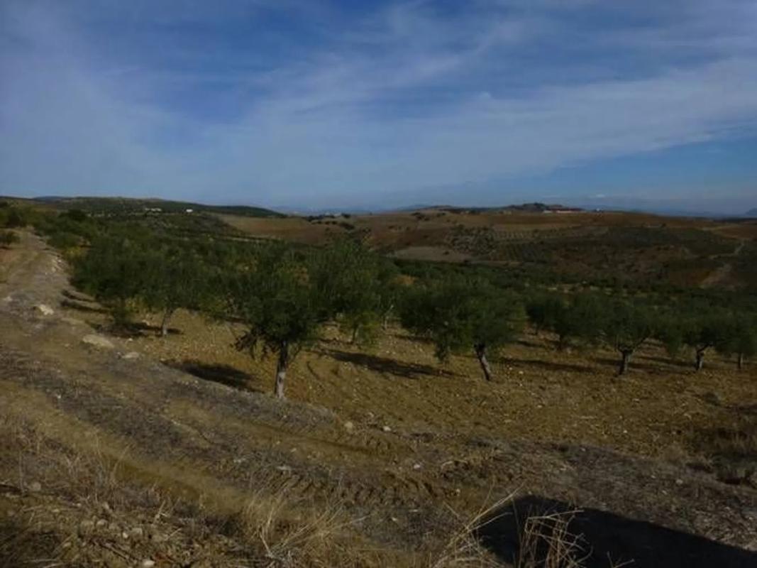 Terreno en venta en Alozaina, Malaga photo 2