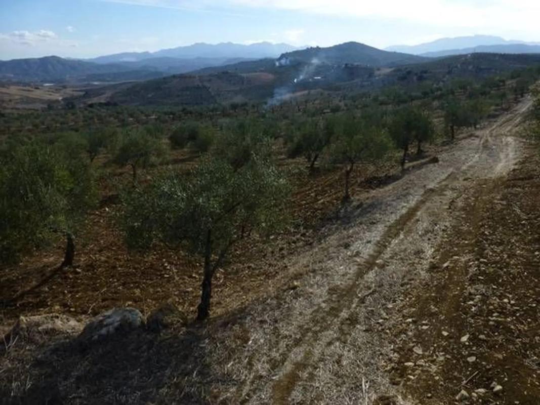 Terreno en venta en Alozaina, Malaga photo 5