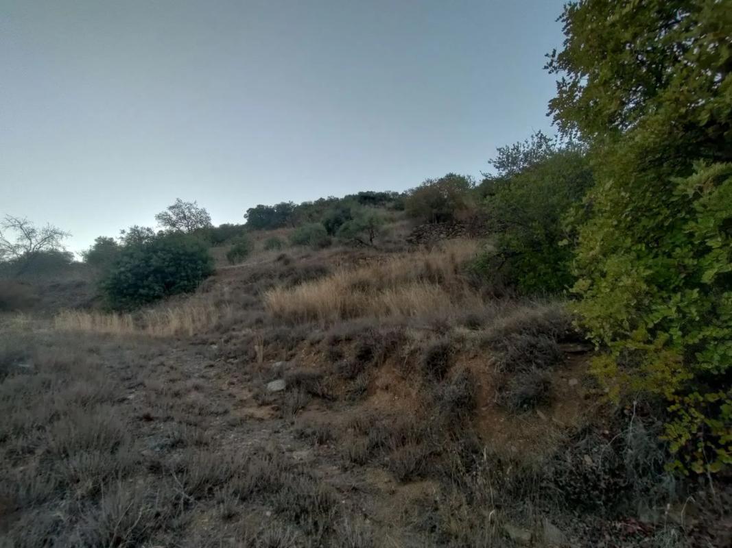 Участок земли на продажу в Толокс, Малага photo 4