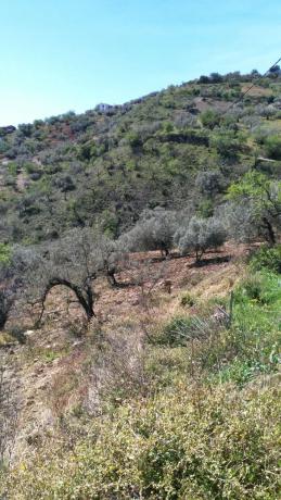 Terreno en El Retamar s/n photo 1