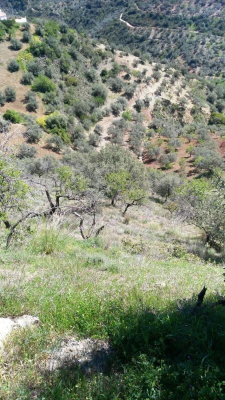 Terreno en venta en Riogordo, Malaga photo 5