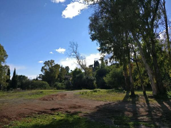 Terreno en camino del Higueral s/n photo 1
