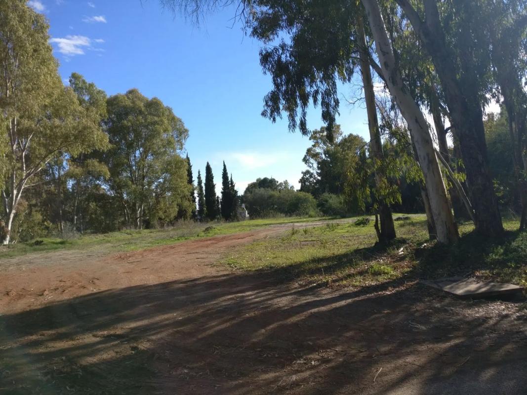 Terreno en venta en Benahavís, Malaga photo 4