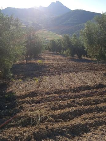 Terreno en carretera Madrid Málaga s/n photo 2