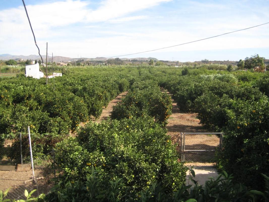 Terreno en venta en Cártama, Malaga photo 4