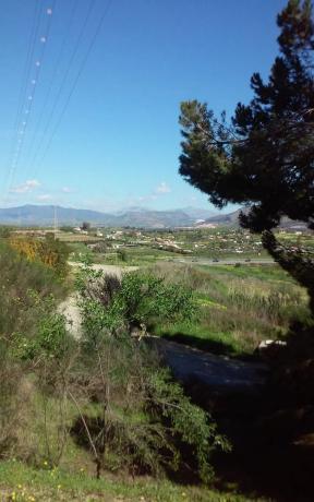 Terreno en carretera de la Dehesa Alta, km 2 photo 1