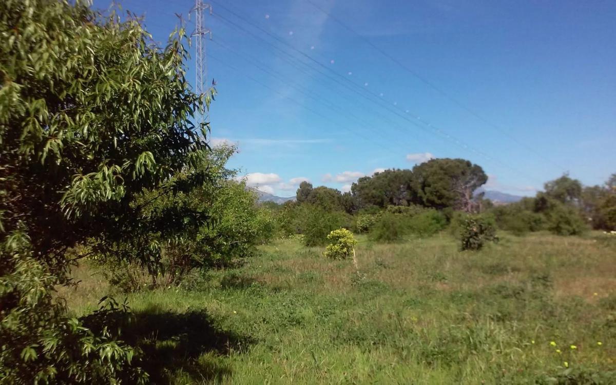 Terreno en venta en Cártama, Malaga photo 5