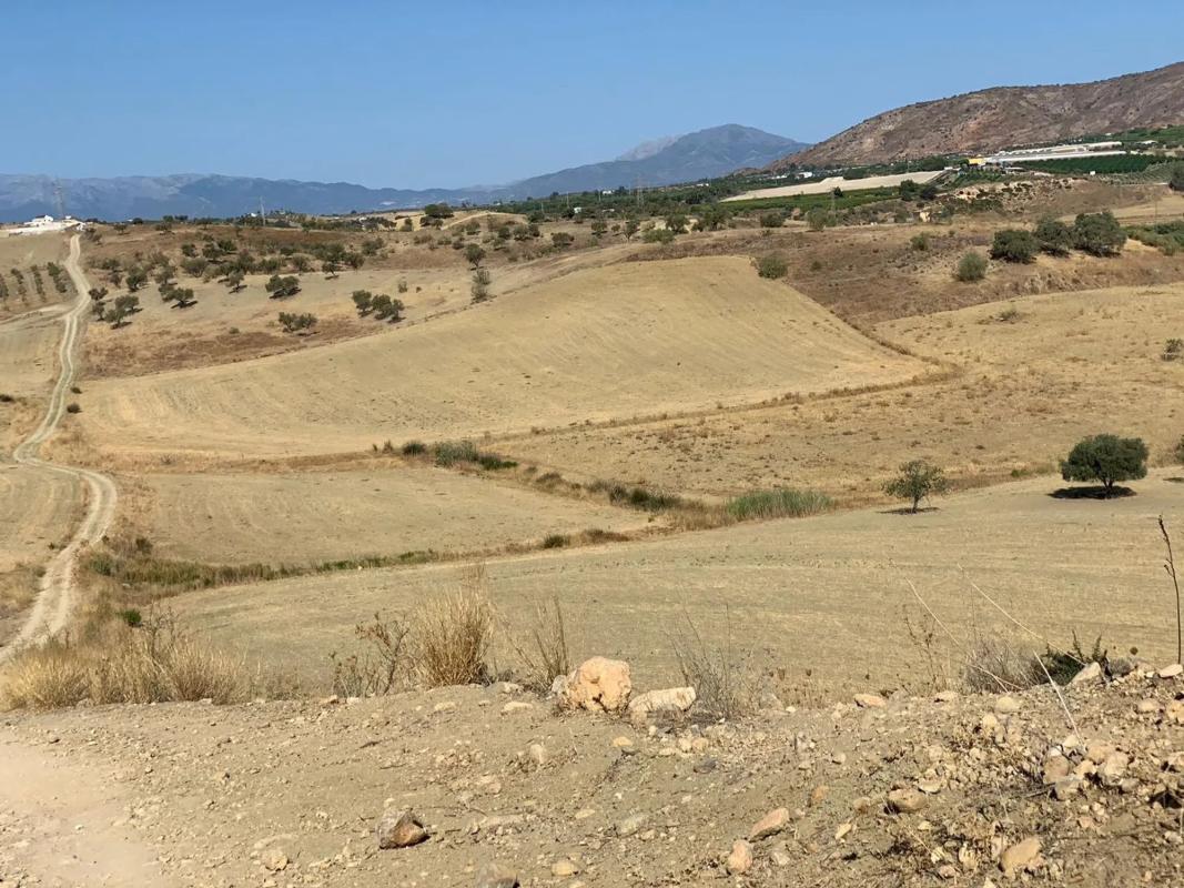 Terreno en venta en Alhaurín de la Torre, Malaga photo 2