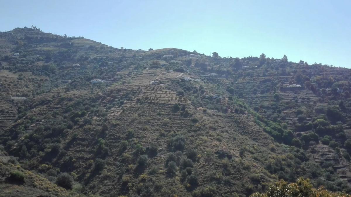 Terreno en venta en Competa, Malaga photo 2