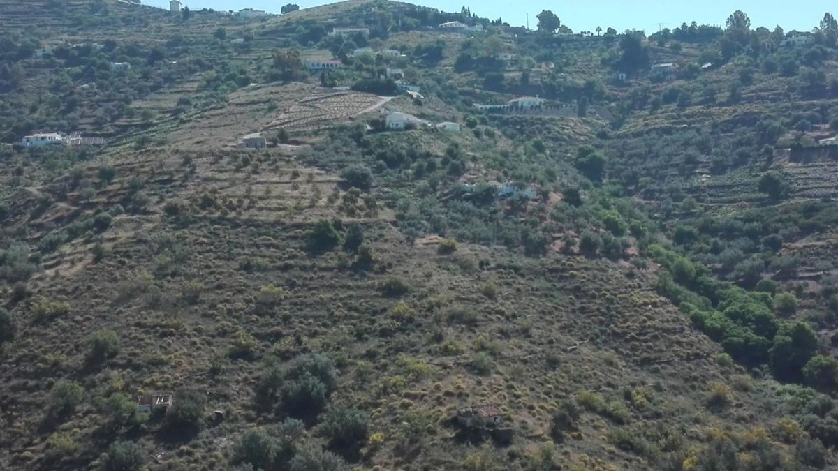 Terreno en venta en Competa, Malaga photo 3