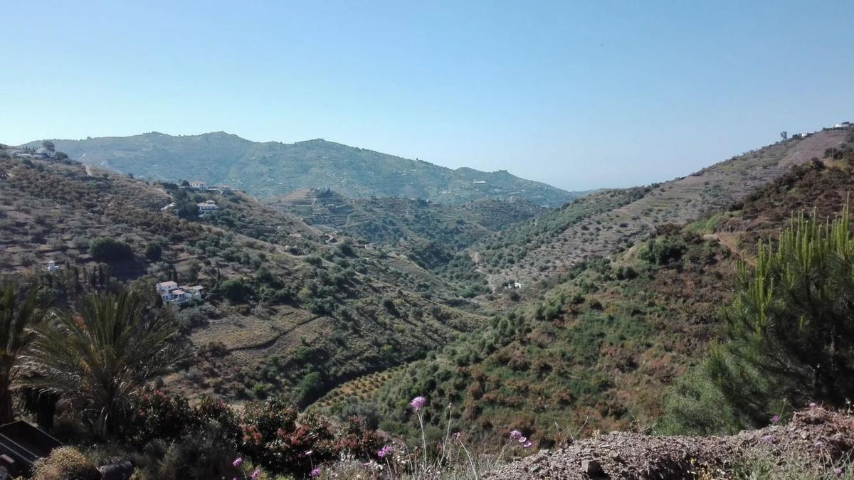 Terreno en venta en Competa, Malaga photo 4