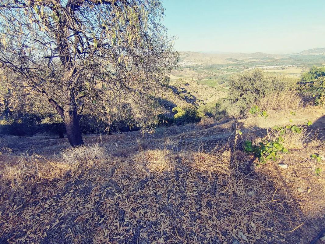 Działka na sprzedaż w Pizarra, Malaga photo 3