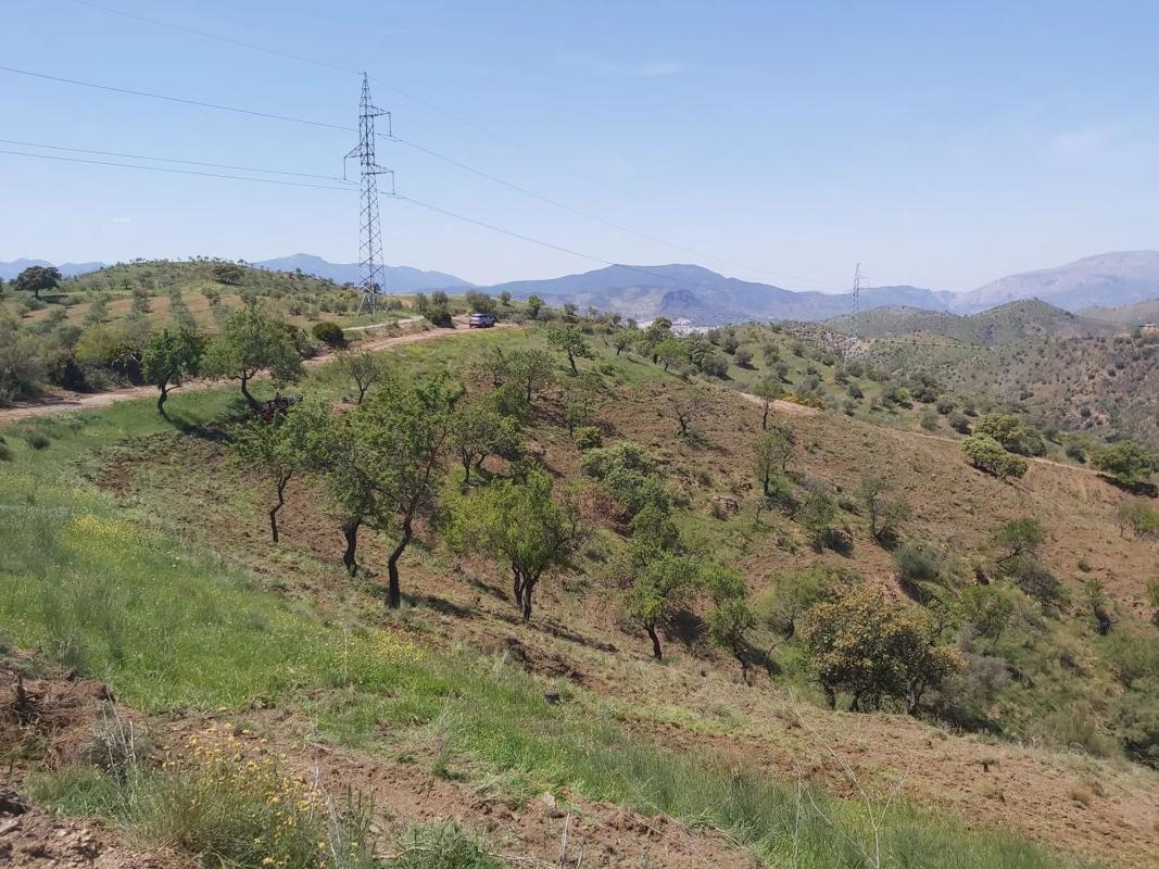 Terreno en venta en Alora, Malaga photo 1