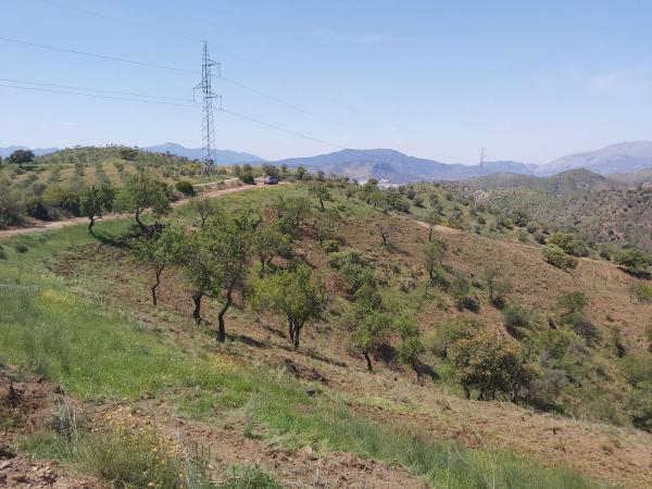 Terreno en Ermita de las tres cruces s/n photo 1